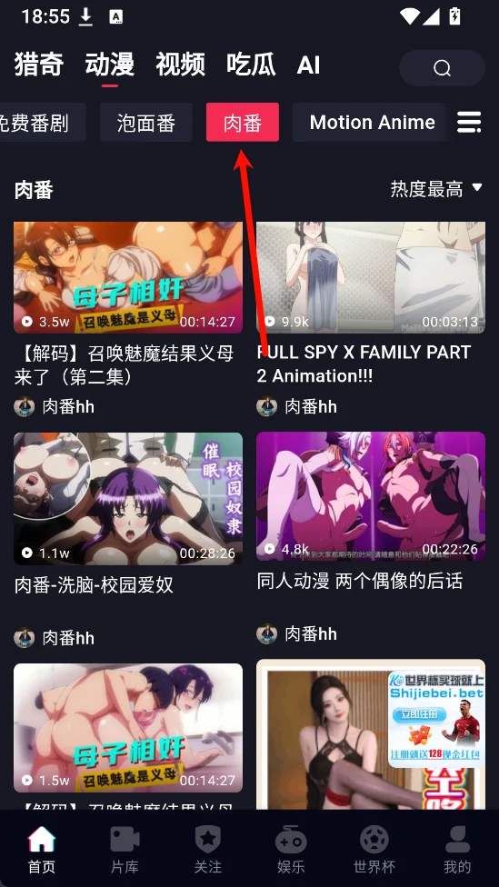 肉番标签页面